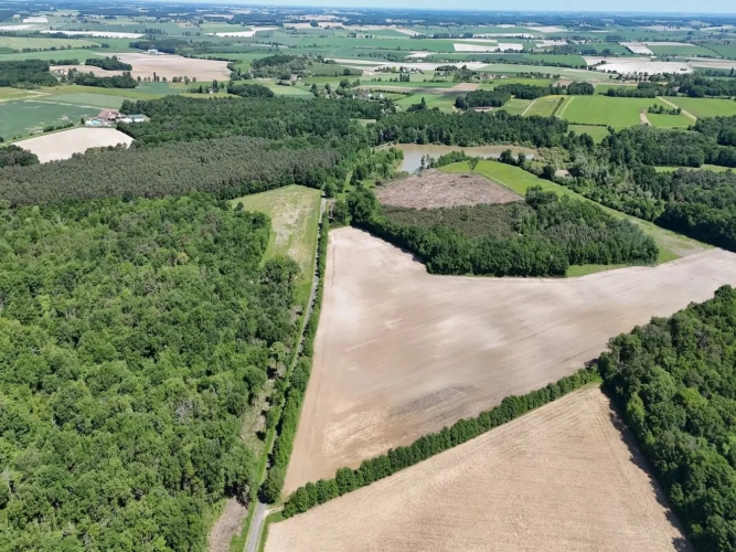 Photos 2 - Agricole - EXPLOITATION CÉRÉALIÈRE 211 HECTARES – TERRES PRÊTES À EXPLOITER