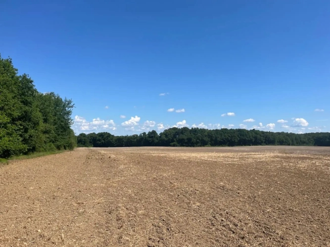 Photos 3 - Agricole - EXPLOITATION CÉRÉALIÈRE 211 HECTARES – TERRES PRÊTES À EXPLOITER