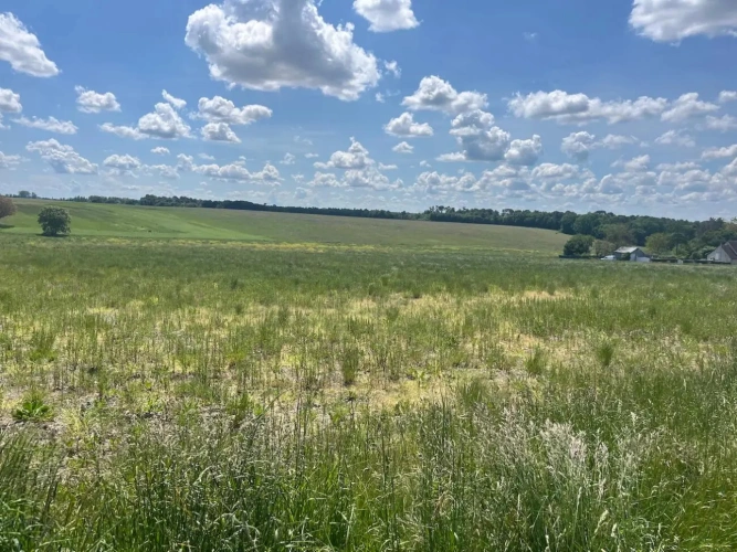 Photos 4 - Agricole - EXPLOITATION CÉRÉALIÈRE 211 HECTARES – TERRES PRÊTES À EXPLOITER