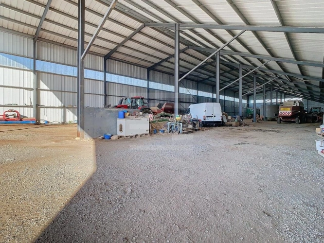 Photos 5 - Agricole - Bovine