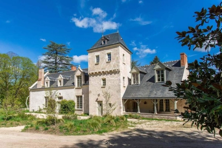 Photos 1 - Prestige - Chateau du XIV eme siècle superbement restauré a 10min de Blois