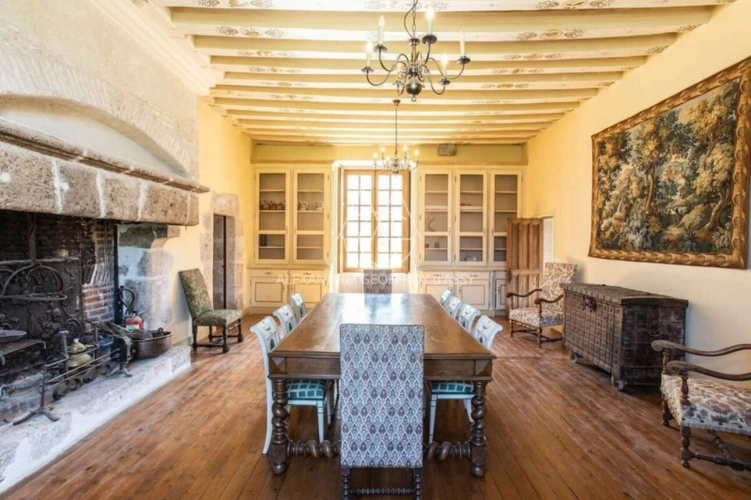 Photos 3 - Prestige - Chateau du XIV eme siècle superbement restauré a 10min de Blois