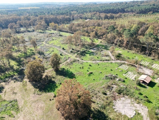 Photos 1 - Foncière - Terrain à vendre  ARGENTON (47)