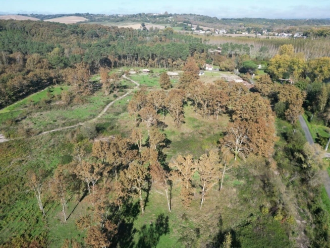 Photos 3 - Foncière - Terrain à vendre  ARGENTON (47)