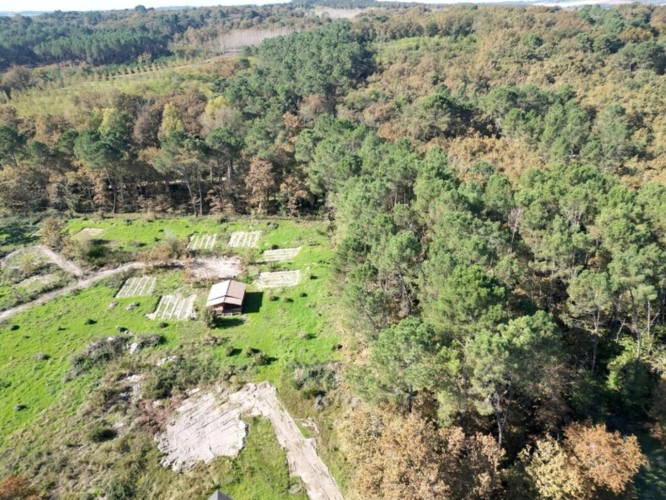 Photos 4 - Foncière - Terrain à vendre  ARGENTON (47)