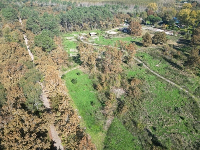 Photos 6 - Foncière - Terrain à vendre  ARGENTON (47)