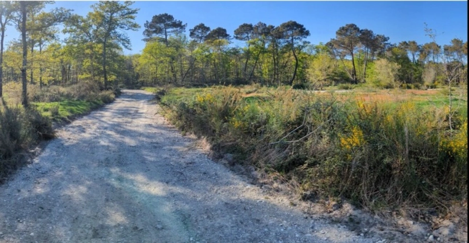 Photos 8 - Foncière - Terrain à vendre  ARGENTON (47)
