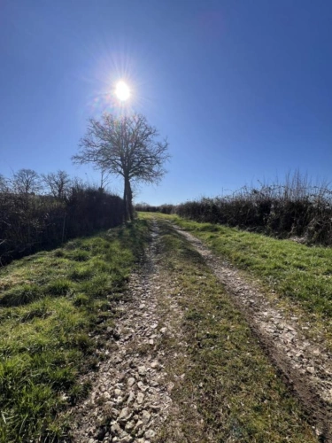 Photos 21 - Foncière - Exploitation céréalière de 170ha dans l'Allier (03)