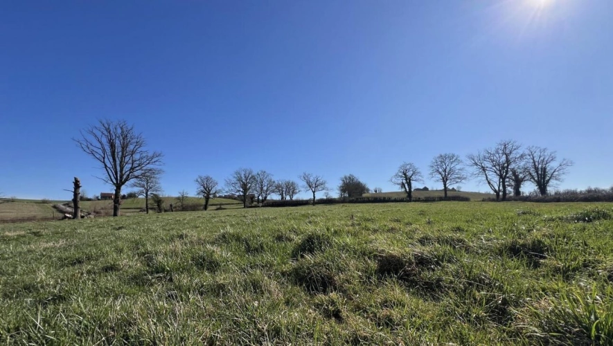 Photos 22 - Foncière - Exploitation céréalière de 170ha dans l'Allier (03)