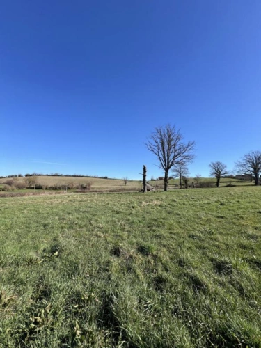 Photos 23 - Foncière - Exploitation céréalière de 170ha dans l'Allier (03)