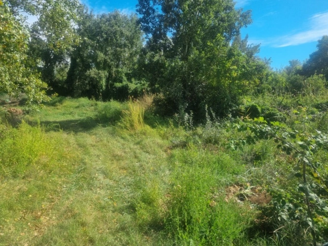 Photos 2 - Foncière - Terrain de loisir à vendre  BARBENTANE (13)