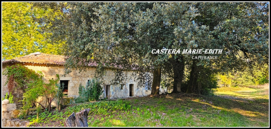 Photos 14 - Prestige - Propriété - Château Gascon Historique  - Terres agricoles, proche de AUCH (32)
