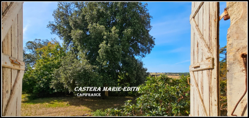 Photos 17 - Prestige - Propriété - Château Gascon Historique  - Terres agricoles, proche de AUCH (32)