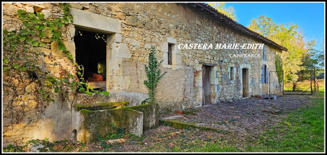 Photos 22 - Prestige - Propriété - Château Gascon Historique  - Terres agricoles, proche de AUCH (32)