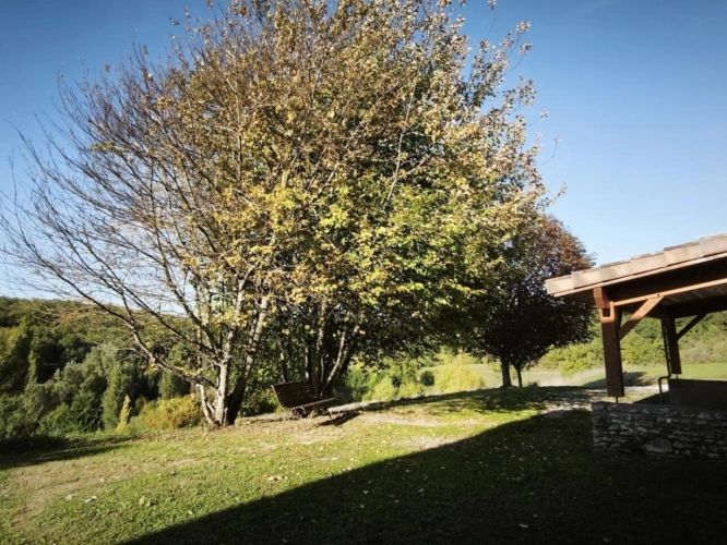 Photos 17 - Prestige - Propriété