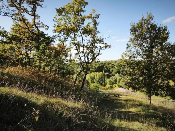 Photos 19 - Prestige - Propriété