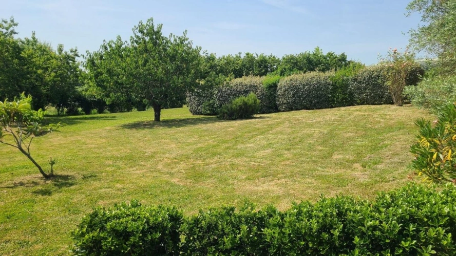 Photos 4 - Prestige - Propriété