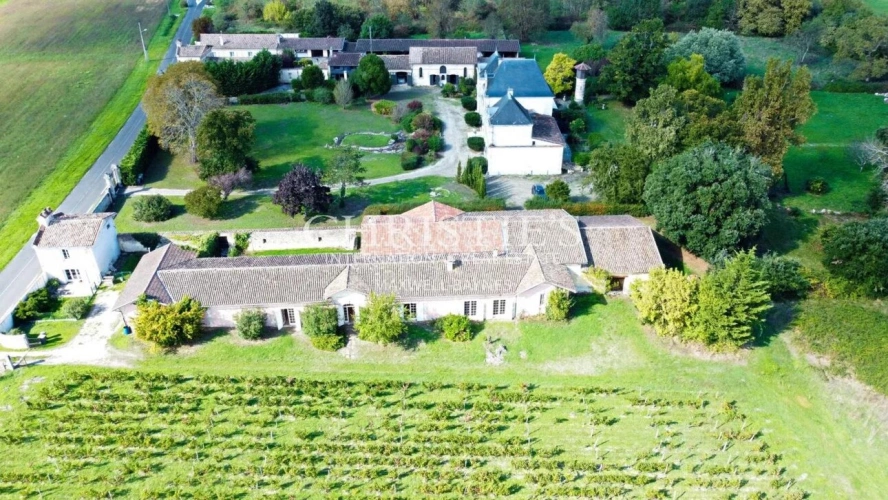 Photos 5 - Prestige - Magnifique château avec vignoble proche de Bordeaux