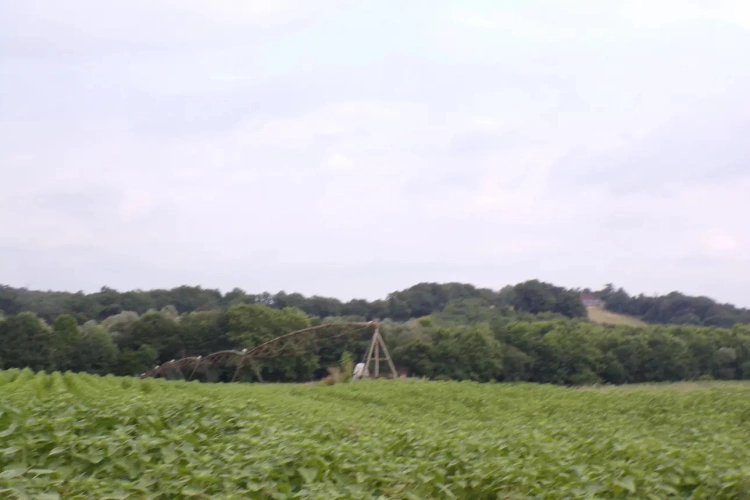 Photos 3 - Agricole - 43 ha sous pivots, habitation, hangar. (GERS)