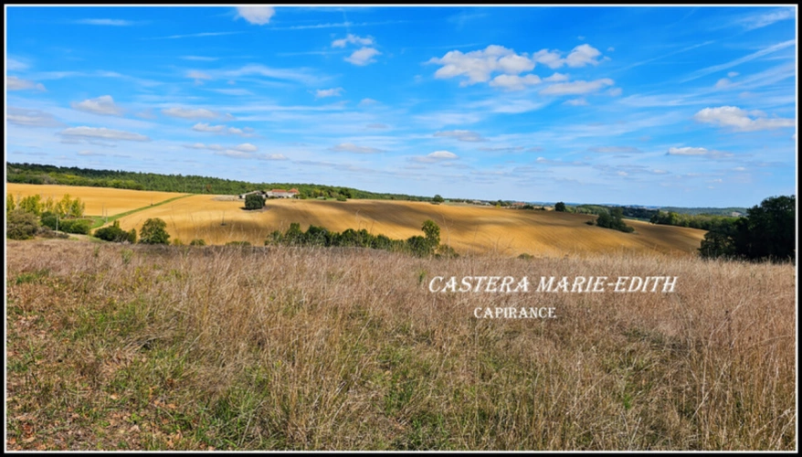 Photos 5 - Prestige - Propriete à vendre-Maison 7 pièces + bâtiments- 85,61 HECTARES  proche de VIC FEZENSAC (32)