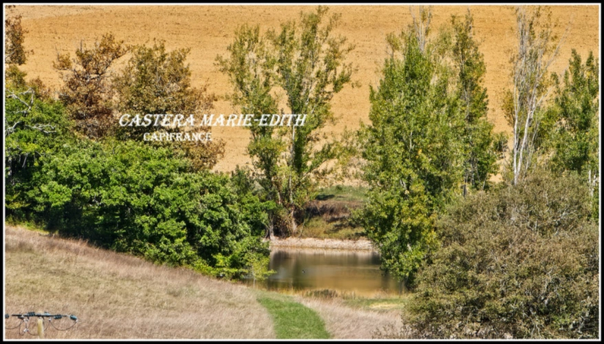 Photos 9 - Prestige - Propriete à vendre-Maison 7 pièces + bâtiments- 85,61 HECTARES  proche de VIC FEZENSAC (32)