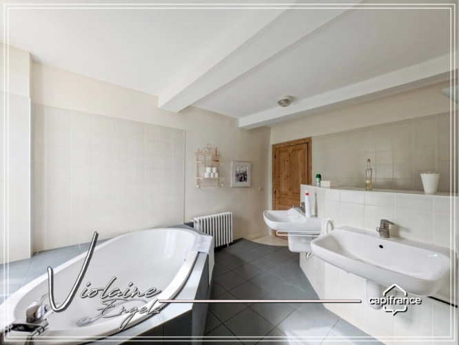 Photos 14 - Prestige - Propriete à vendre 0 pièces OLONZAC (34)