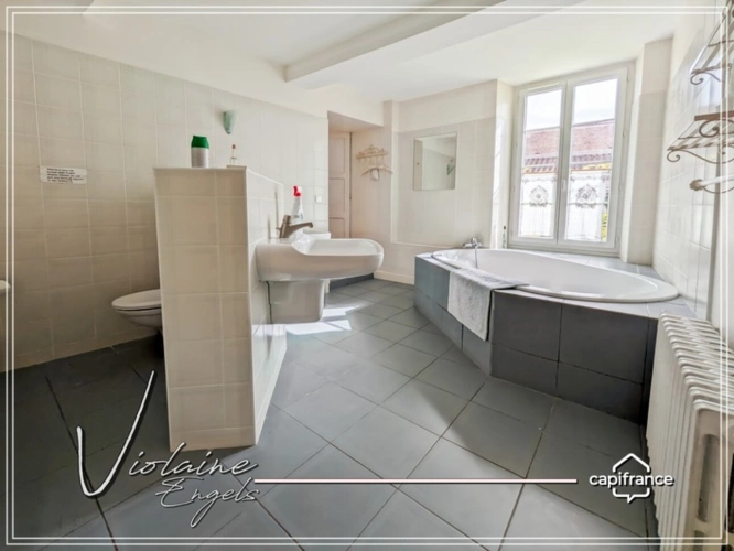 Photos 16 - Prestige - Propriete à vendre 0 pièces OLONZAC (34)