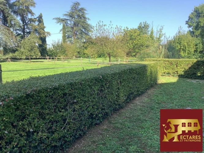 Photos 10 - Prestige - propriété  Cognac 270 m2