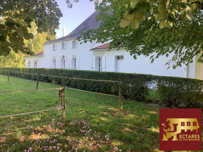 Photos 12 - Prestige - propriété  Cognac 270 m2