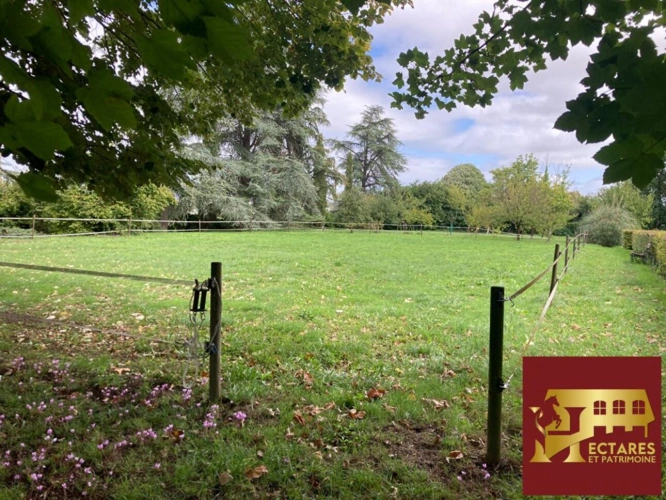 Photos 13 - Prestige - propriété  Cognac 270 m2