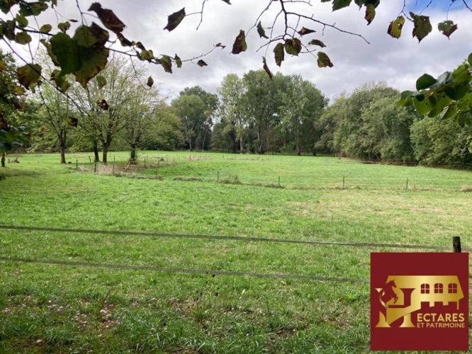 Photos 14 - Prestige - propriété  Cognac 270 m2