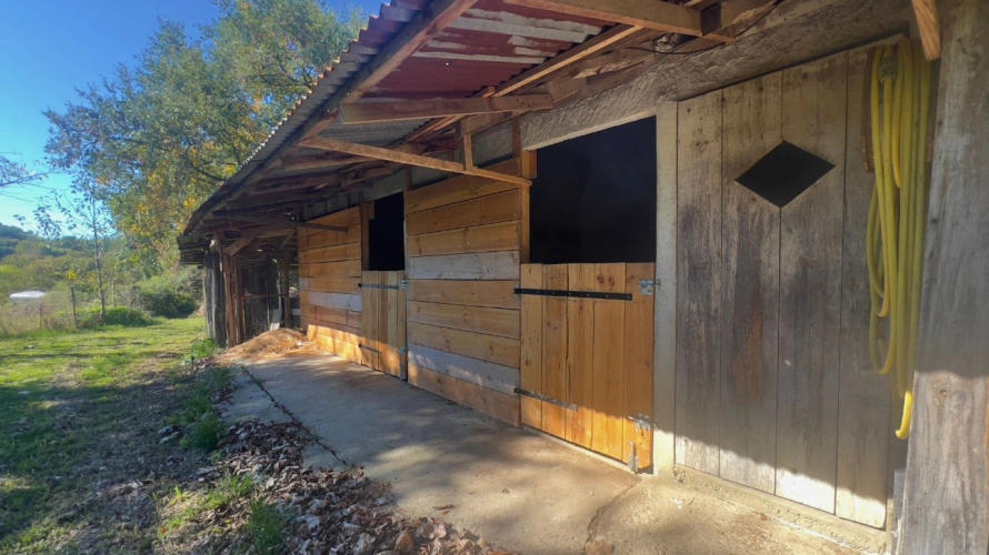 Photos 12 - Équestre - Propriété équestre de charme au cœur des Landes