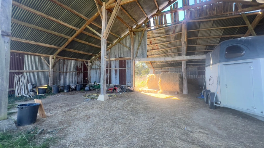 Photos 13 - Équestre - Propriété équestre de charme au cœur des Landes
