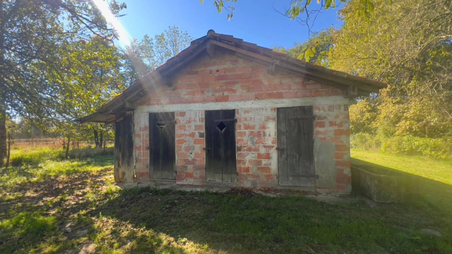 Photos 14 - Équestre - Propriété équestre de charme au cœur des Landes