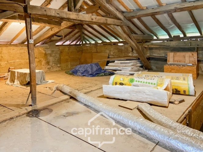 Photos 15 - Touristique - Propriété à vendre composée de 2 maisons - 11 pièces DOMMARTIN LES CUISEAUX (71) sur 1,1 hectare de terrain