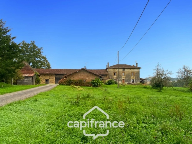Photos 23 - Touristique - Propriété à vendre composée de 2 maisons - 11 pièces DOMMARTIN LES CUISEAUX (71) sur 1,1 hectare de terrain