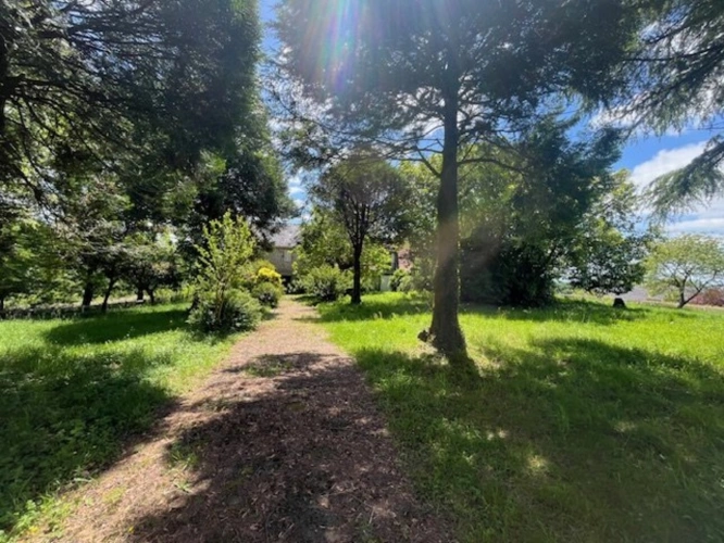 Photos 16 - Prestige - Propriété