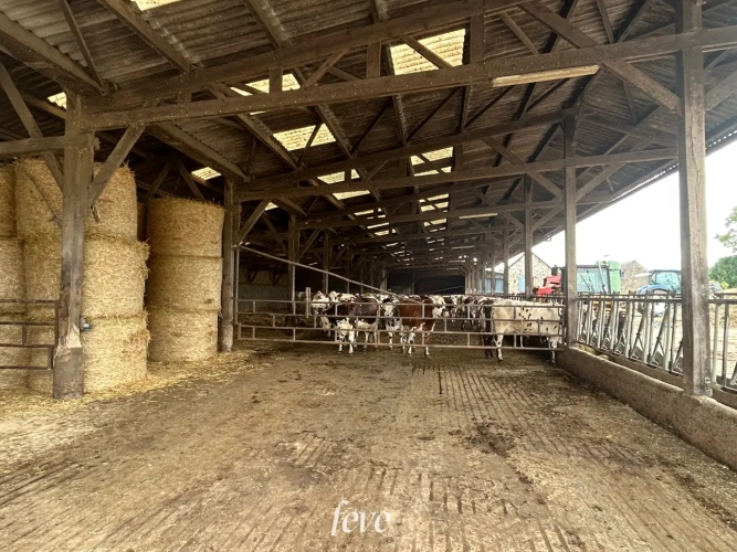 Photos 2 - Agricole - La ferme de la vallée fleurie