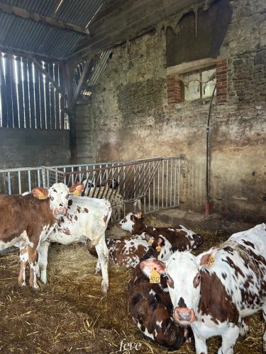 Photos 3 - Agricole - La ferme de la vallée fleurie