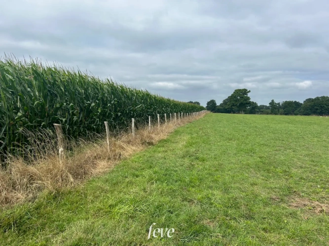 Photos 4 - Agricole - La ferme de la vallée fleurie