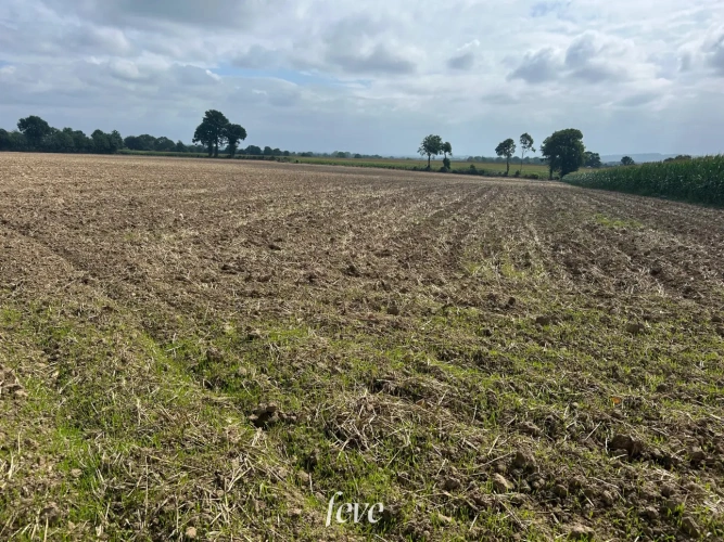 Photos 5 - Agricole - La ferme de la vallée fleurie