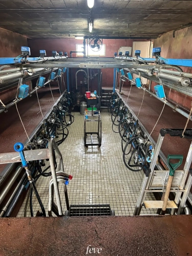 Photos 7 - Agricole - La ferme de la vallée fleurie