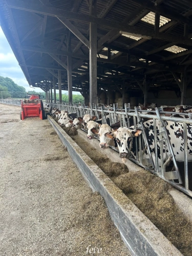 Photos 8 - Agricole - La ferme de la vallée fleurie