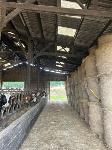 Photos 9 - Agricole - La ferme de la vallée fleurie