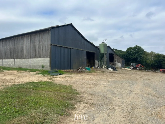 Photos 10 - Agricole - La ferme de la vallée fleurie