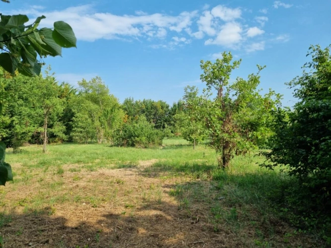 Photos 7 - Touristique - Maison avec terrain attenant