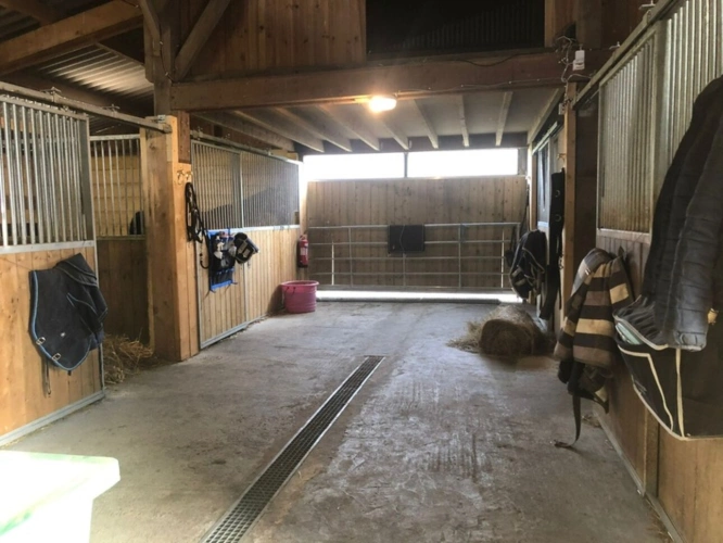 Photos 6 - Équestre - Propriété Corps de Ferme, Bâtisse d'habitation de caractère , nombreuses dependances dont Box, proche ALENCON, LE PERCHE, 2h00 PARIS