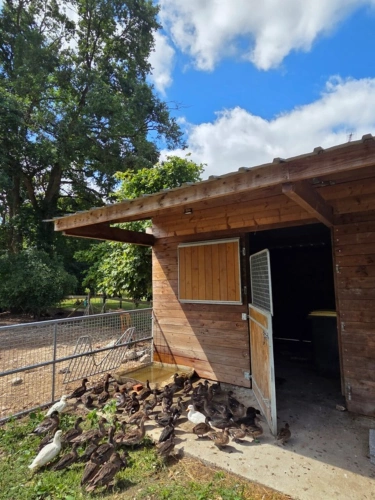 Photos 8 - Équestre - Propriété Corps de Ferme, Bâtisse d'habitation de caractère , nombreuses dependances dont Box, proche ALENCON, LE PERCHE, 2h00 PARIS