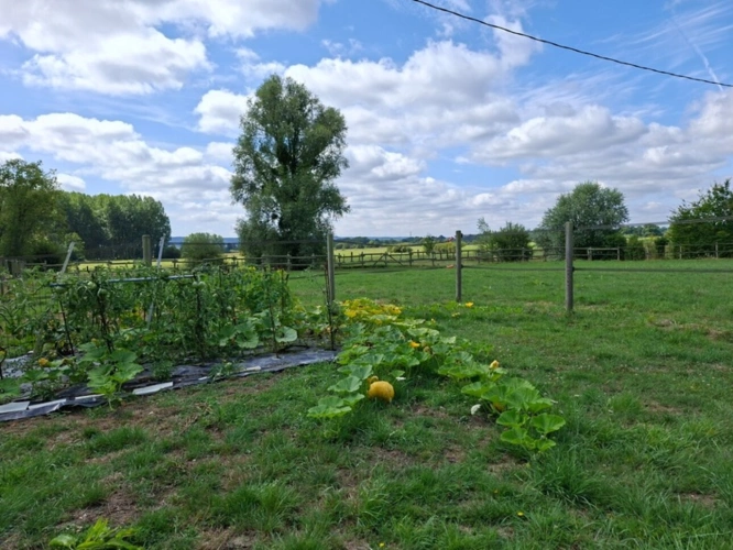 Photos 10 - Équestre - Propriété Corps de Ferme, Bâtisse d'habitation de caractère , nombreuses dependances dont Box, proche ALENCON, LE PERCHE, 2h00 PARIS
