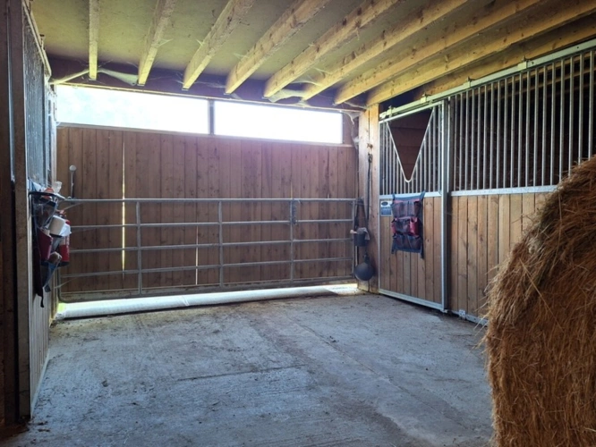 Photos 11 - Équestre - Propriété Corps de Ferme, Bâtisse d'habitation de caractère , nombreuses dependances dont Box, proche ALENCON, LE PERCHE, 2h00 PARIS